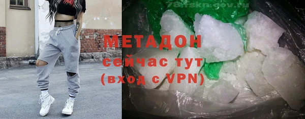 прущие грибы Новозыбков