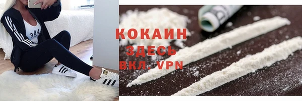 герыч Новодвинск