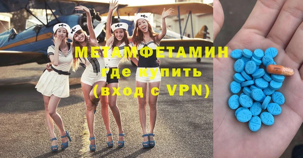 прущие грибы Новозыбков