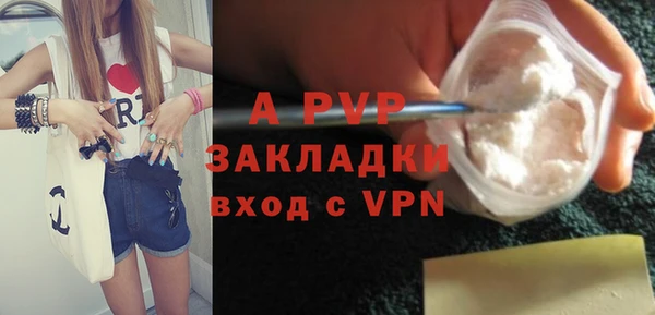 прущие грибы Новозыбков