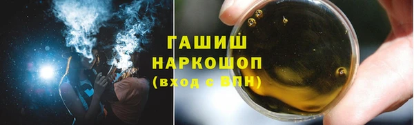 прущие грибы Новозыбков