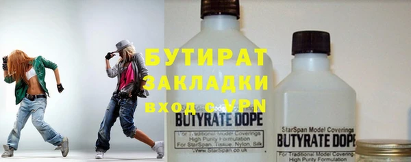 прущие грибы Новозыбков