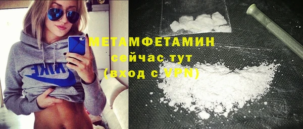 прущие грибы Новозыбков