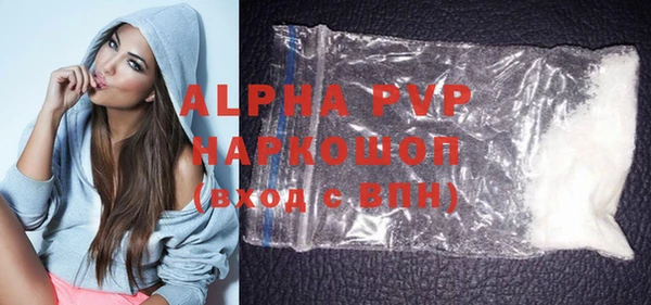 прущие грибы Новозыбков