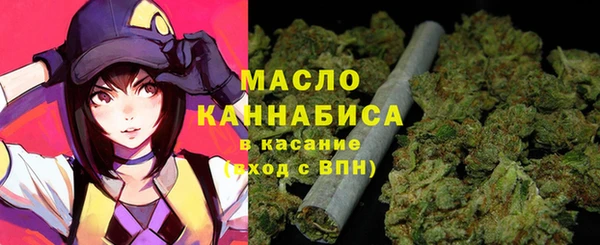 прущие грибы Новозыбков