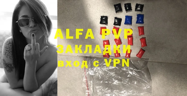 прущие грибы Новозыбков