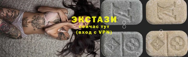 прущие грибы Новозыбков