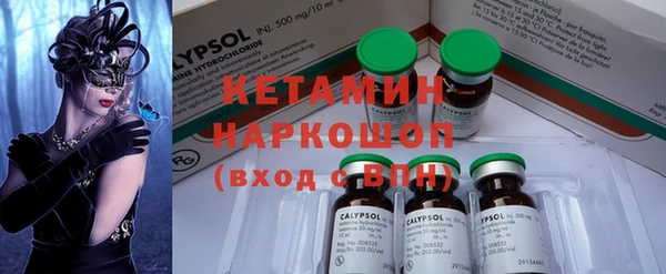 прущие грибы Новозыбков
